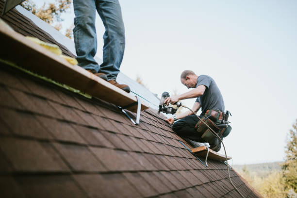 Roof Gutter Cleaning in Fargo, ND